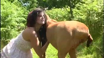 Attractive woman savors the flavor of new canine penis