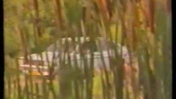 Ideal classic animal sex scene with a penis-adoring dark-haired woman